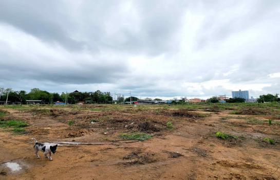 �ź��� �� rattana27