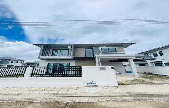 �ѹ��ᾧ �� northern1