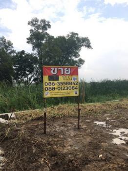 ������ �� zionasset1