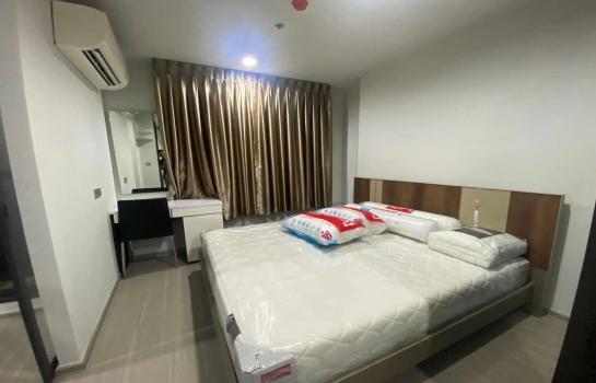 �ҧࢹ �� M Property