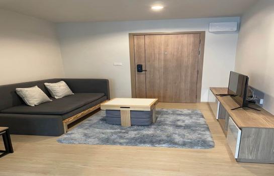 ���⢹� �� ��