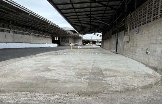 ��ا෾ �� Kong property