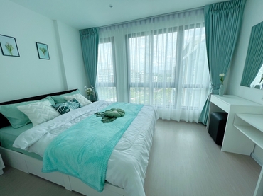 ��ا෾ �� M Property