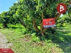  Թ