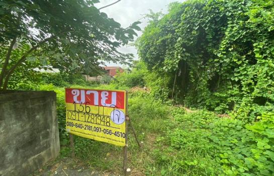 �͹�� �� zionasset1