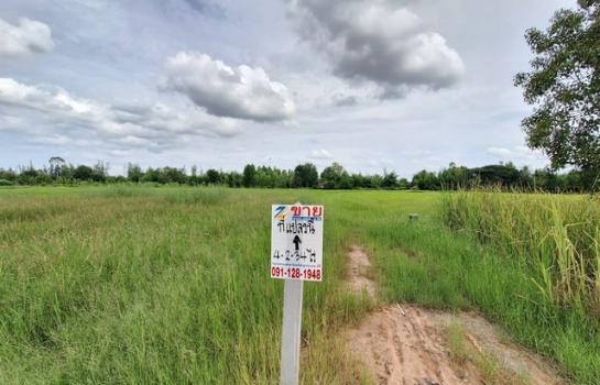 �͹�� �� zionasset1