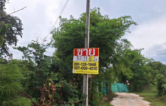 �͹�� �� zionasset1