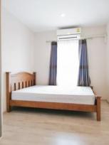 �����Ҥ͹� �ҧ�˭� �������