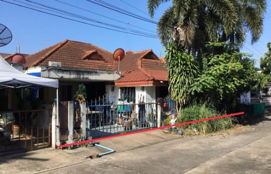 ��ҵ�� �� panaya.opalopal