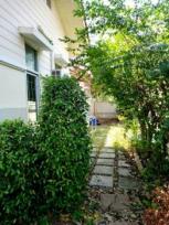 ��º�ҹ �Ҵ������� �����ҹ�