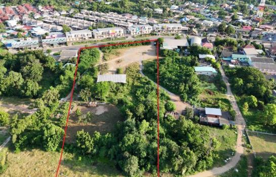 �����к��� �� pazarestate1