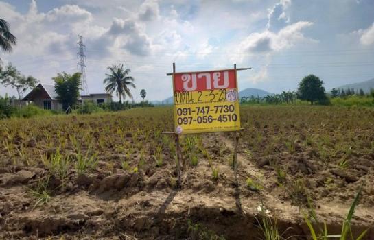 ����Թ �� zionasset1