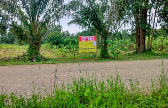 ����Թ �� zionasset1