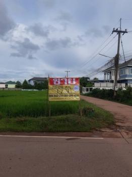 ˹ͧ��� �� zionasset1