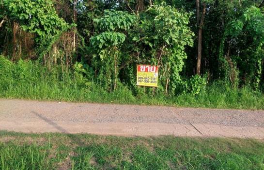 �� �� zionasset1