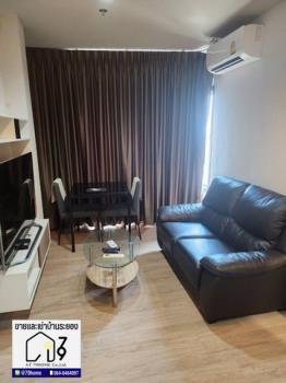 �͹����ͧ ���ͧ