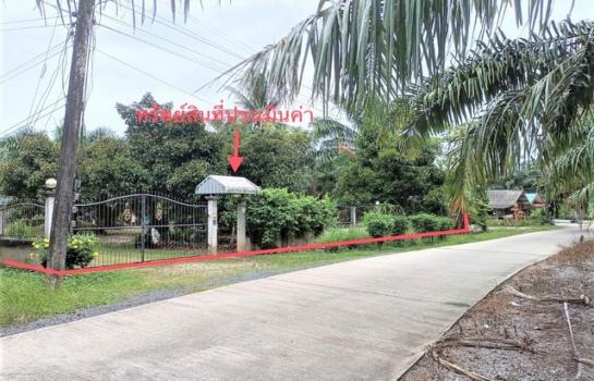 ��ҹ ���Ŵ͹�ѡ ����ɮ��ҹ�