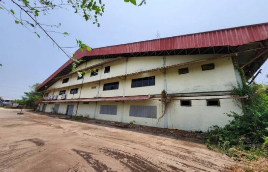 ��û�� �� zionasset1