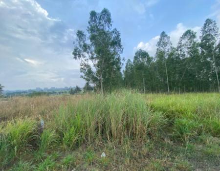 ��ªź��� �� Support_Condo_I