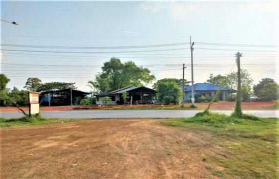 ���ʡŹ�� �� panaya.opalopal