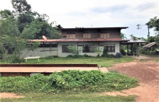 ��ҹʡŹ�� �� compos2566