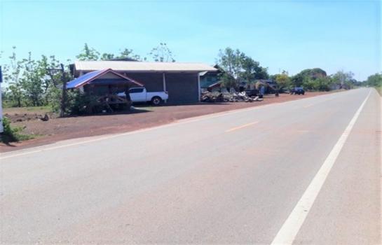 ���ʡŹ�� �� panaya.opalopal