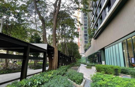 ��بѡ� �� room168sub