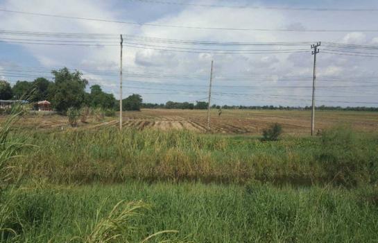 �ʹ� �� zionasset1