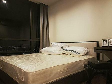 ����Ѳ�� �� incube