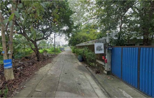 ขายที่ดิน Paradise ขายที่ดิน Paradise