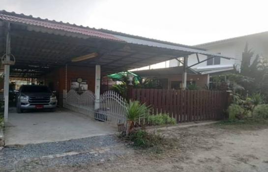 �ѹ���� �� northern1