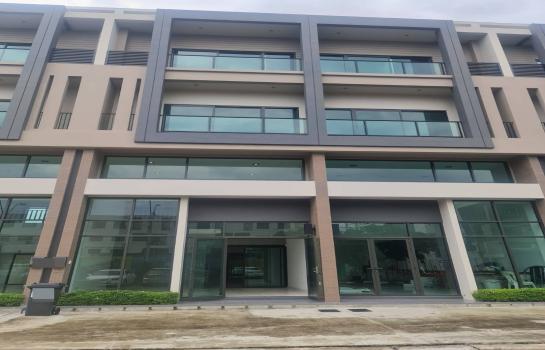 ˹ͧ�� �� All Living