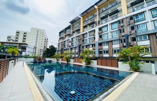 �Ң�ѭ �Ź�����