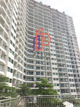 �͹ⴾ�������� �ҹ����