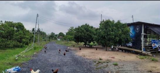 �Ӿٹ �� Jyn Property