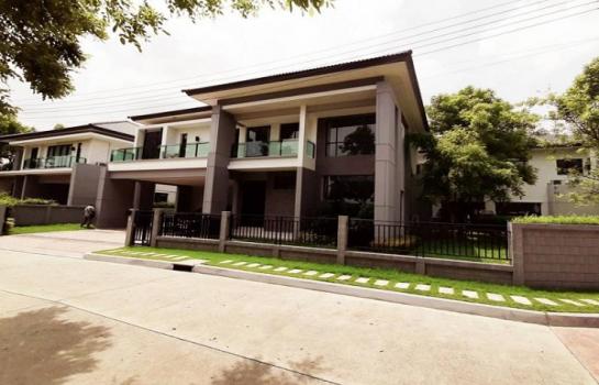 �ҧ�� �� ritthichai