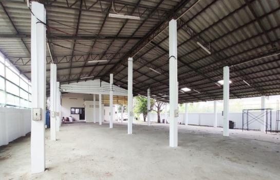 ���١�� �� AssetD4U