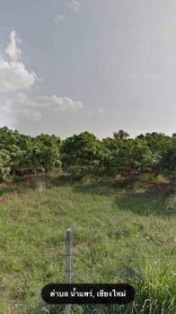 �ҧ�� �� northern1