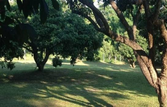 ��·��Թ 5,200,000 �ҷ