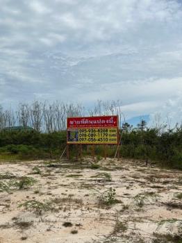 ������ �� zionasset1