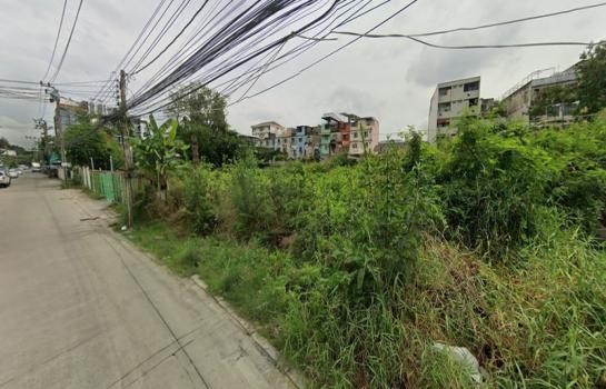 ���Թ�ҧ�� �� HarrisonTH