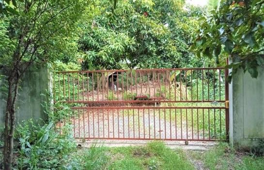 ���Թ��� �� panaya.opalopal