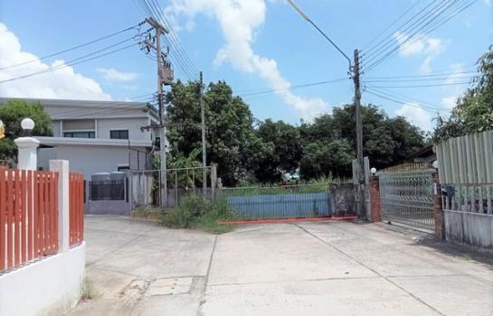 ���Թ��� �� panaya.opalopal