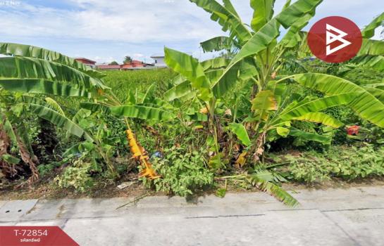 �ź��� �� The Best Property Agent