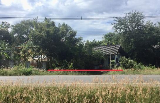 ���Թ��� �� compos2566