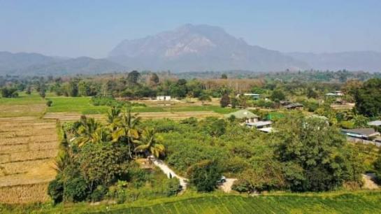 ��§��� �� onanong khumaphao