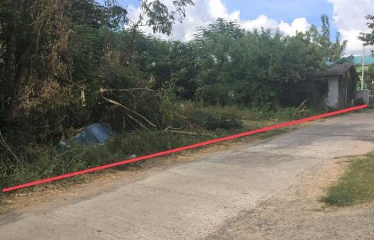 ���Թ��� �� compos2566