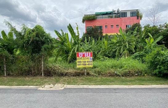 ��بѡ� �� zionasset1