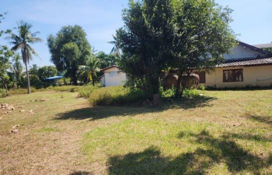 ˹ͧ���� �� panaya.opalopal