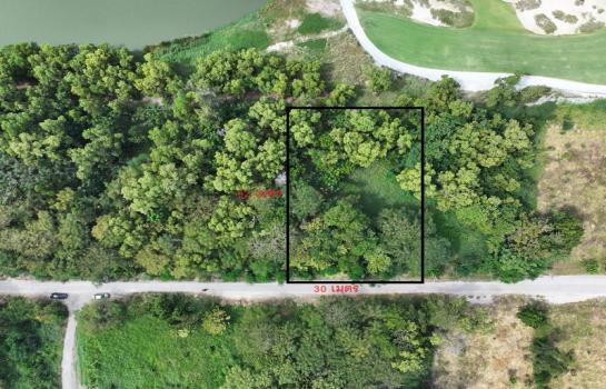 �ҧ��� �� Nititut